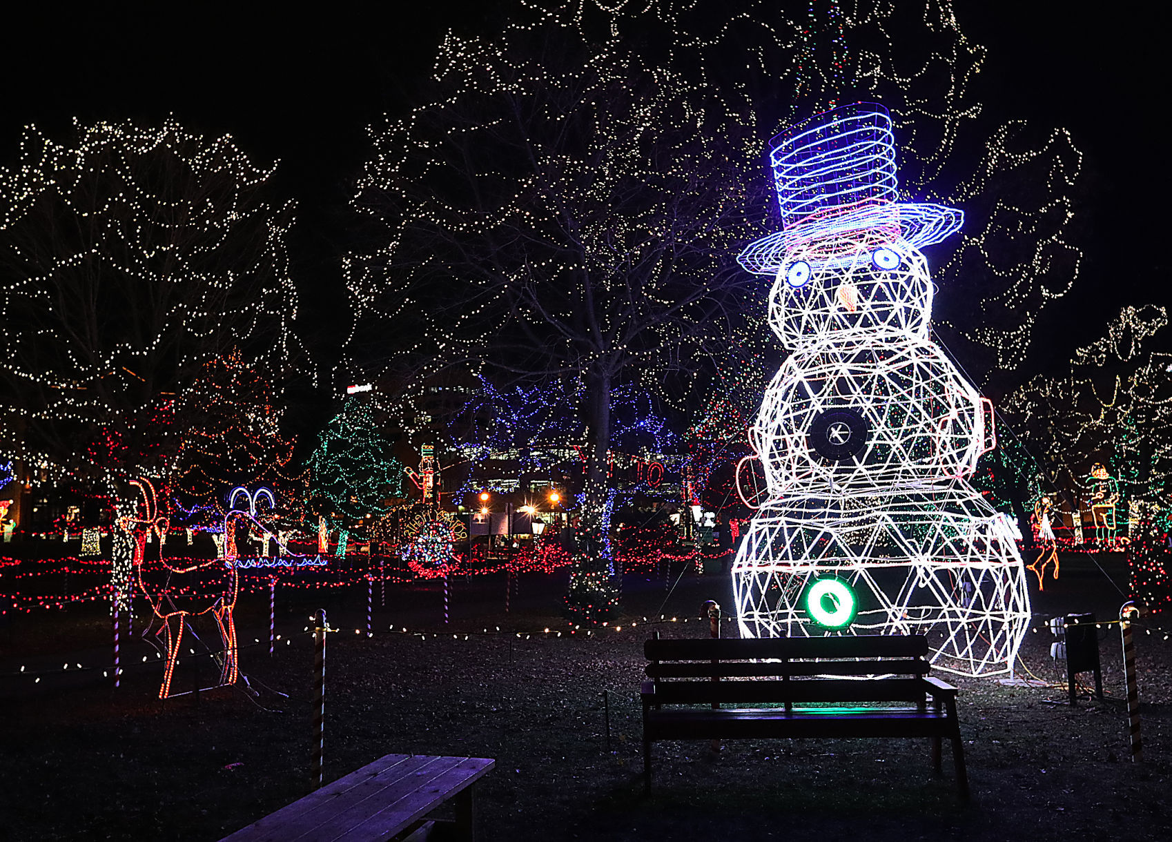 Rotary Lights